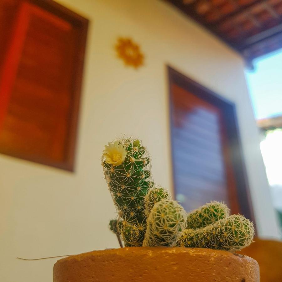 Pousada Do Enildo São Miguel dos Milagres 외부 사진
